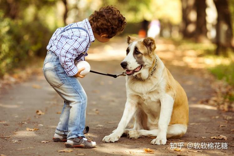 狗狗靠什么分辨主人,狗会记恨主人打过他吗,狗狗能有几个主人狗狗在家庭中，是不是也会分？