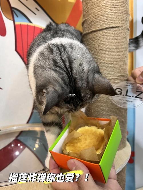 猫包吃了有什么好处,猫包吃了有什么好处猫包一次吃几个人家送给我六个,猫吃虾的好处和坏处？