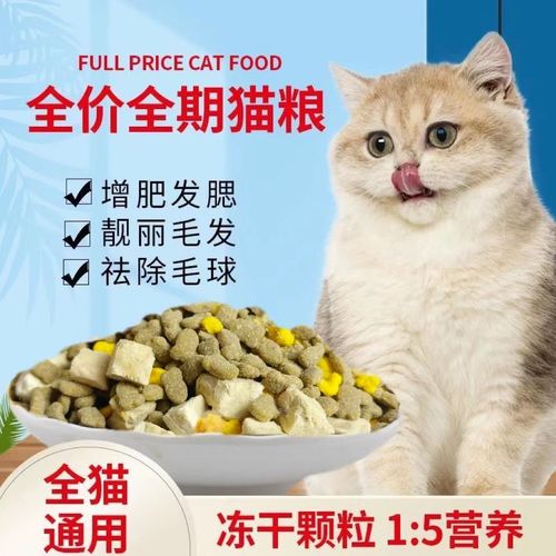 2个月的猫吃什么猫粮,2个月的猫吃什么猫粮好,两个月不到一点的小猫，吃什么猫粮好？