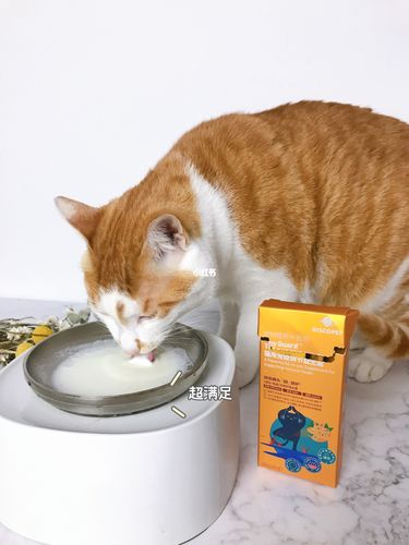 喂小猫吃什么,喂小猫吃什么好,猫咪益生菌的用量是多少？