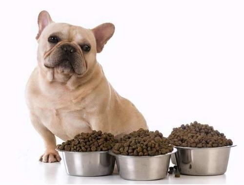 小狗吃盐后有什么影响,狗狗十大禁忌食物,狗为什么不能吃盐的？