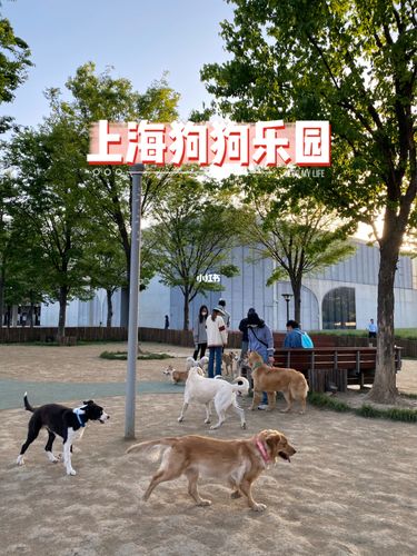上海什么公园可以带狗,上海什么公园可以带狗进去,上海哪些公园可以溜狗啊？