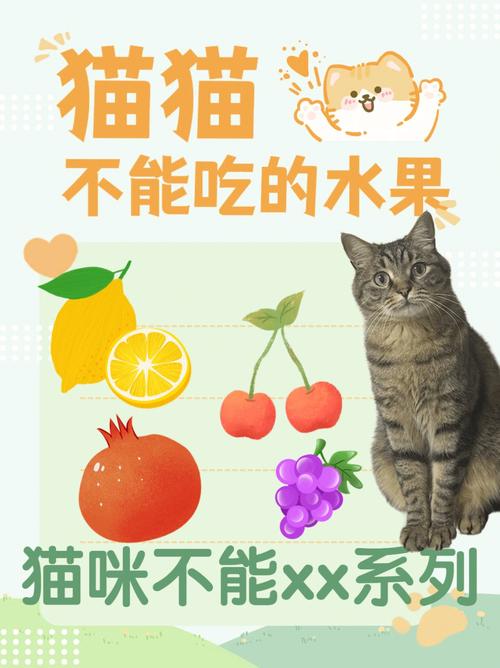 猫吃什么水果好,猫吃什么水果好一点,猫咪适合吃什么水果？