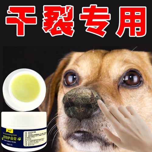 狗最怕什么药的气味,狗最怕什么药的气味呢,狗的鼻子能闻出化学药品的味道吗？