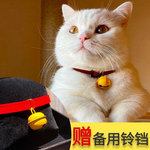 猫戴铃铛有什么影响,猫戴铃铛有什么影响吗,猫咪带有铃铛声音的会怕？