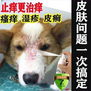 狗狗起湿疹用什么药膏,狗狗湿疹喷什么药,狗得了湿疹怎么办？