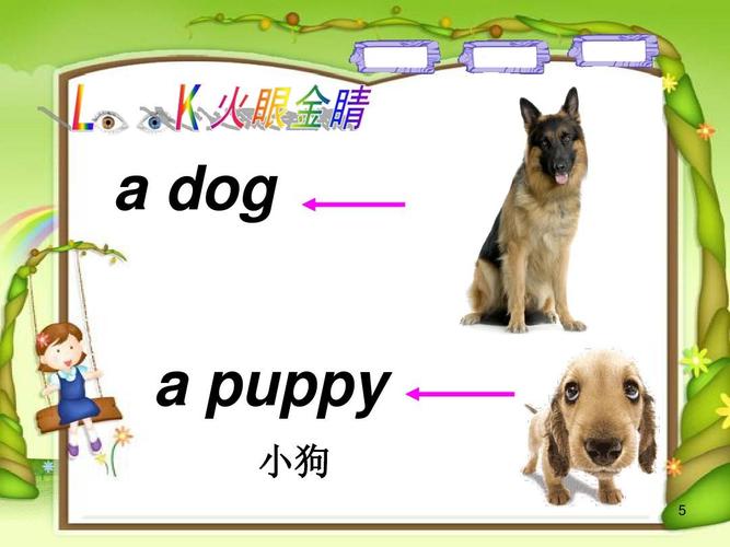小狗的英文,小狗的英文puppy对吗,puppy和brat的区别？