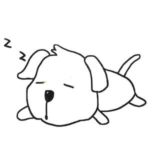 睡觉的小狗,睡觉的小狗简笔画,狗有深睡眠吗？
