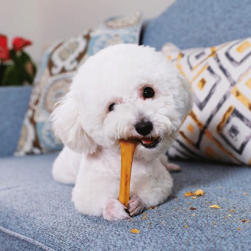 小狗磨牙棒,小狗磨牙棒多久吃一个,泰迪幼犬磨牙棒推荐？