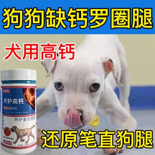 狗狗缺钙吃什么食物好,狗狗缺钙吃什么补钙最快,狗狗缺钙，用什么方法补钙最快最好？