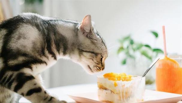 猫为什么不能吃蛋白,猫为什么不能吃蛋白质,为什么有的猫喜欢吃蛋白？