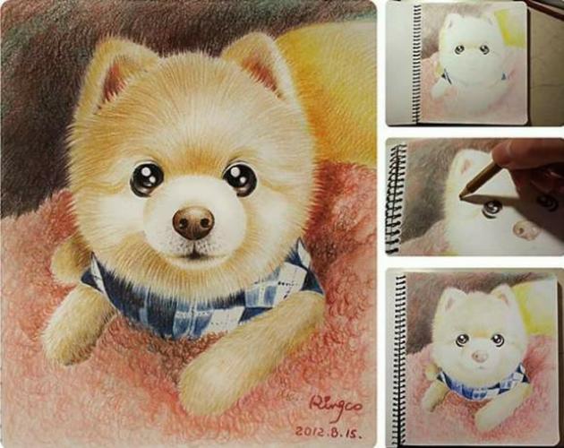 小狗铅笔画,小狗铅笔画画图片,想学彩色铅笔画该买什么书？