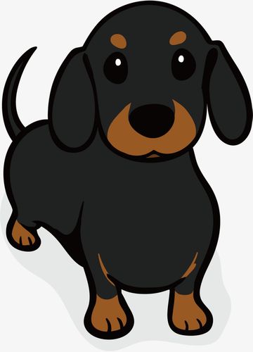 黑色的小狗图片,黑色的小狗图片卡通,黑色的狗狗象征的是？