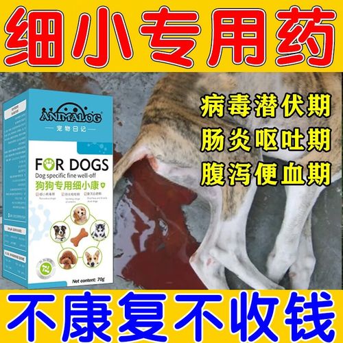 狗狗拉血直接用什么药,狗狗拉血快死的前兆是什么,小狗吐血拉血应该吃什么药打什么针？