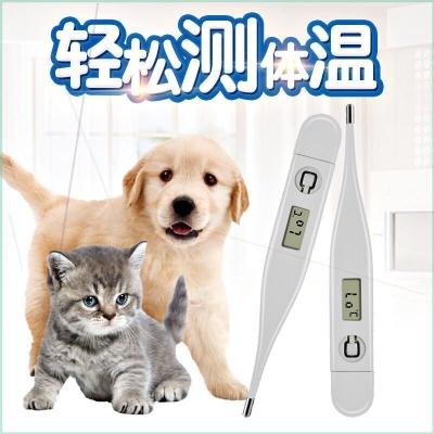 小狗体温低,小狗体温低怎么恢复体温,狗狗体温低要不要给它用温箱？