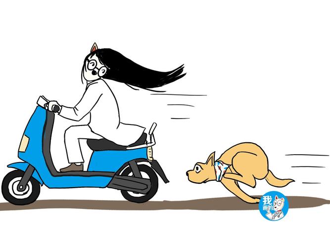 狗为什么喜欢追电动车,狗为什么喜欢追电动车的人,狗狗很喜欢追车怎么办啊？
