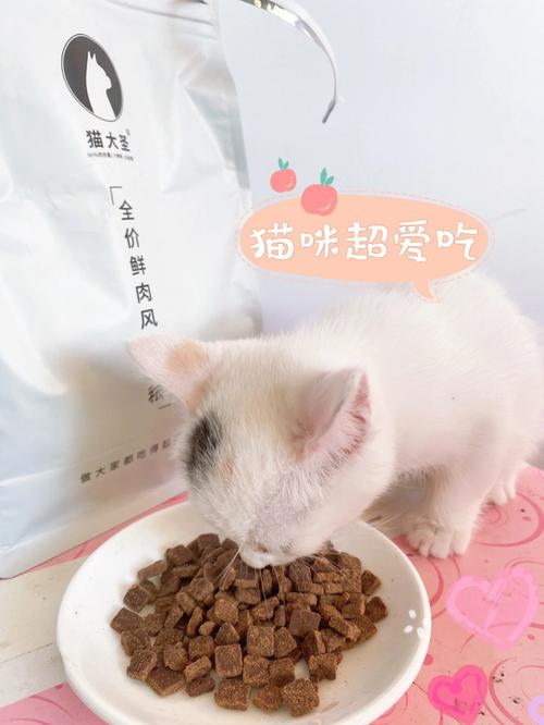小猫吃什么猫粮比较好,幼猫粮哪个牌子好又安全,什么猫粮好吃又营养又不贵？