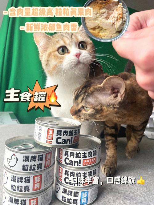 三个月猫吃什么,三个月猫吃什么猫粮,猫多大的时候才可以吃猫咪罐头？