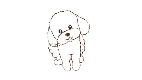 泰迪狗怎么画,泰迪狗怎么画简笔画,泰迪衣服简单的怎么做？