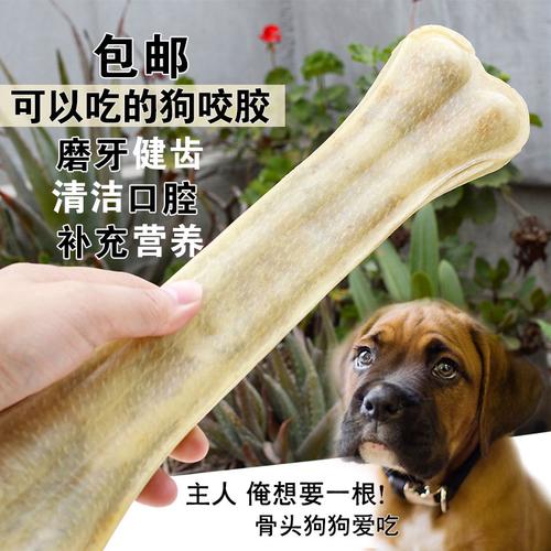 小狗能吃猪骨头吗,小狗能吃猪骨头吗有营养吗,狗狗可以吃猪蹄的骨头吗？